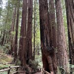 Photo taken by kirsten b