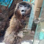 Photo taken by Amanda H