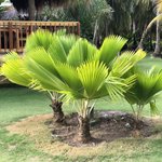 Photo taken by Juliette S