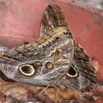 Photo taken by Joyce C