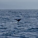 Photo taken by Lucinda M