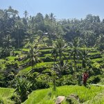 Photo taken by Brittany Leslie Lynn S