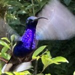 Photo taken by Bert B