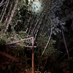 Photo taken by Bailey W