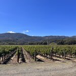 Photo taken by kirsten b