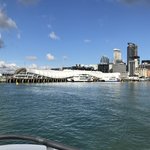 Photo taken by Alfredo H