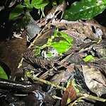 Photo taken by Eric A