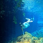 Photo taken by Wendy W