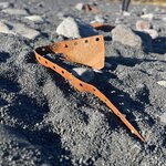 Photo taken by Carrie A