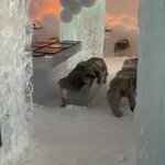 Photo taken by Elissa P