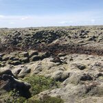 Photo taken by Daniel K