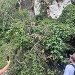 Photo taken by Petralina L