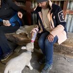 Photo taken by Gillian O