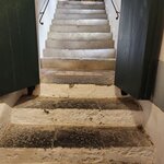 Photo taken by ELIZABETH S