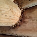 Photo taken by sybil p