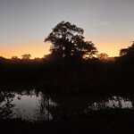 Photo taken by Adriene A