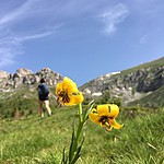 Trekking  | Photo taken by Ralph A
