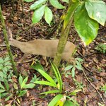 Photo taken by Esther B