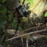 Photo taken by Sarah C