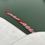 Photo taken by Susan R