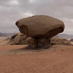 Photo taken by Marion M