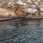 Photo taken by Jennifer A