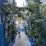 Photo taken by Dorothy Paz L