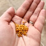 Photo taken by Susan W