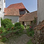 Photo taken by Trevor W