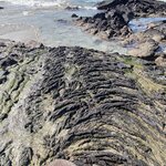 Photo taken by Vinay K