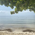 Photo taken by Bincy P