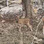 Photo taken by Mary R