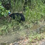 Photo taken by Cindy H