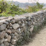 Photo taken by Wayne D