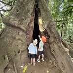 Photo taken by Paul F