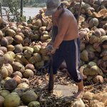 Photo taken by Don M