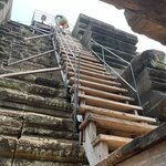 Photo taken by Felice Z