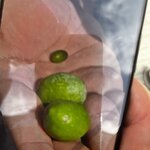 Photo taken by Dee C