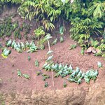 Photo taken by Cathy V