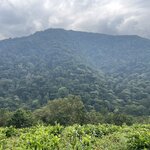 Photo taken by Michael L