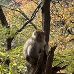 Photo taken by Beverly G