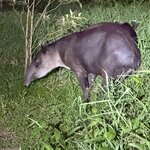 Photo taken by Sara W