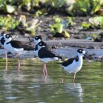 Photo taken by Graeme W