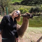 Photo taken by Kent P