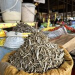 Photo taken by Fuad A