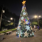 Photo taken by Erika M