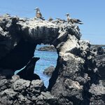 Photo taken by Lisa P