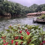 Photo taken by Joyce C