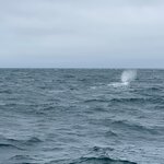 Photo taken by Connie P