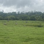 Photo taken by Jessica S